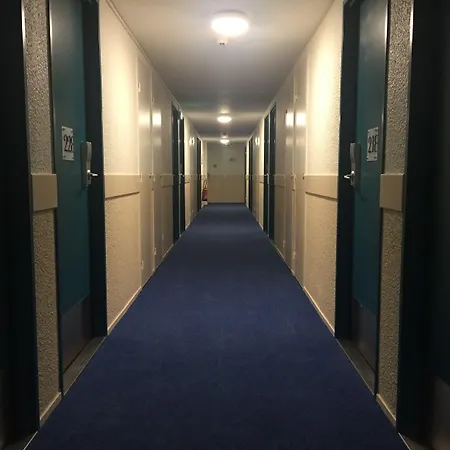 酒店 Comfort Aeroport Lyon St Exupery 3*